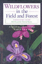Wildflowers In The Field And Forest