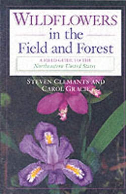 Bertrand.pt - Wildflowers In The Field And Forest