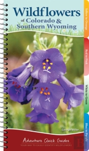 Wildflowers Of Colorado & Southern Wyoming