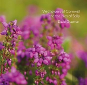 Wildflowers Of Cornwall And The Isles Of Scilly