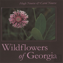Wildflowers Of Georgia
