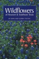 Wildflowers Of Houston And Southeast Texas