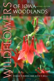 Wildflowers Of Iowa Woodlands