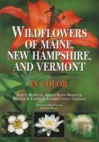 Wildflowers Of Maine, New Hampshire And Vermont