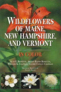 Bertrand.pt - Wildflowers Of Maine, New Hampshire And Vermont
