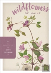 Wildflowers Of Maine