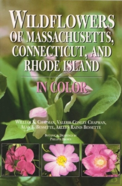 Bertrand.pt - Wildflowers Of Massachusetts, Connecticut, And Rhode Island In Color