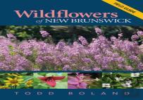 Wildflowers Of New Brunswick