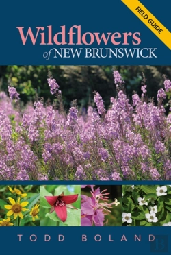 Bertrand.pt - Wildflowers Of New Brunswick