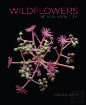 Wildflowers Of New York City