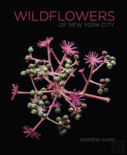 Bertrand.pt - Wildflowers Of New York City