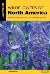 Wildflowers Of North America