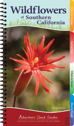 Bertrand.pt - Wildflowers Of Southern California