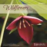 Wildflowers Of The Appalachian Trail