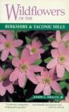 Wildflowers Of The Berkshire And Taconic Hills