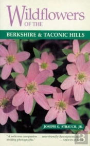 Wildflowers Of The Berkshire And Taconic Hills