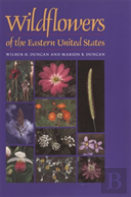 Wildflowers Of The Eastern United States