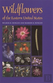 Wildflowers Of The Eastern United States
