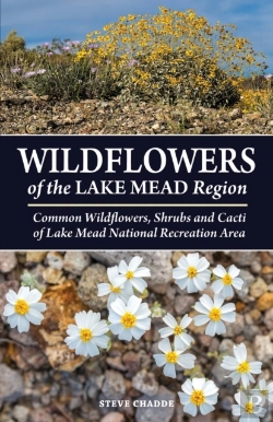Bertrand.pt - Wildflowers Of The Lake Mead Region