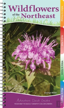 Bertrand.pt - Wildflowers Of The Northeast