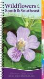 Wildflowers Of The South & Southeast