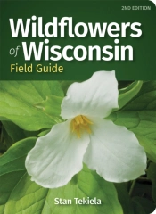 Wildflowers Of Wisconsin Field Guide