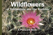 Wildflowers Of Yellowstone And The Rockies
