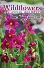 Wildflowers Of Zion National Park