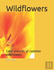 Wildflowers