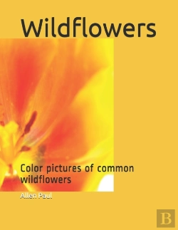Bertrand.pt - Wildflowers