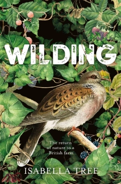 Bertrand.pt - Wilding