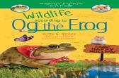 Wildlife According To Og The Frog