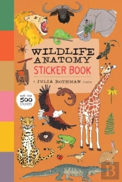 Wildlife Anatomy Sticker Book