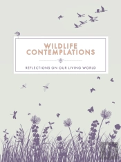 Wildlife Contemplations