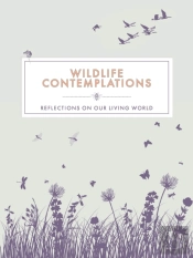 Wildlife Contemplations