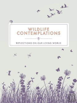 Bertrand.pt - Wildlife Contemplations