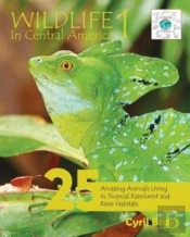 Wildlife In Central America 1: 25 Amazin