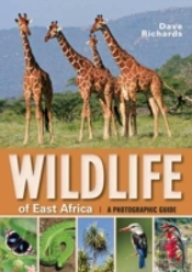 Wildlife Of East Africa