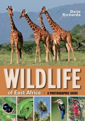 Wildlife Of East Africa