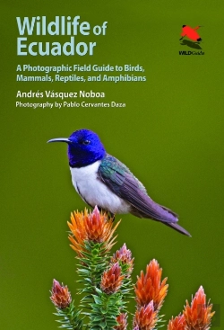 Bertrand.pt - Wildlife Of Ecuador