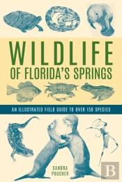 Wildlife Of Florida'S Springs