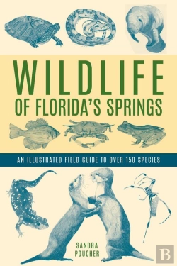Bertrand.pt - Wildlife Of Florida'S Springs
