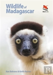 Wildlife Of Madagascar