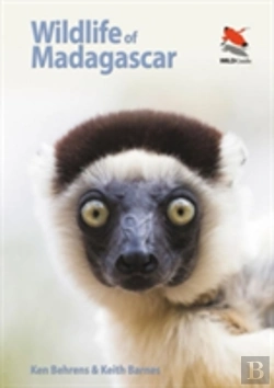 Bertrand.pt - Wildlife Of Madagascar