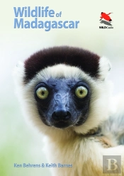 Wildlife Of Madagascar