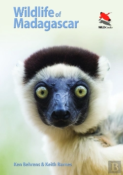 Bertrand.pt - Wildlife Of Madagascar