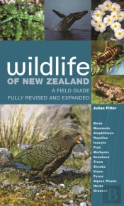 Wildlife Of New Zealand