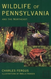 Wildlife Of Pennsylvania And The Northeast