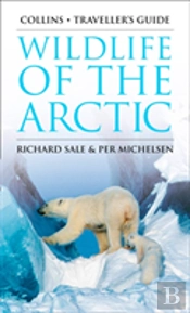 Wildlife Of The Arctic
