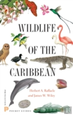 Bertrand.pt - Wildlife Of The Caribbean